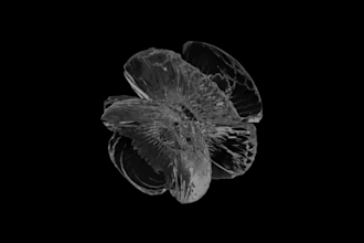 4k 3d abstract animation 3d motion graphics 3d loop animation anyma houdini gif