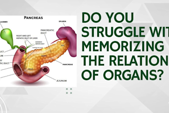 tutor human anatomy, physiology, biochemistry,  and histology, embryology
