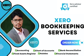 do bank reconciliation, bookkeeping, and financial statements using xero