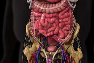 create high accuracy 3d medical models or surgical anatomy visualizations video