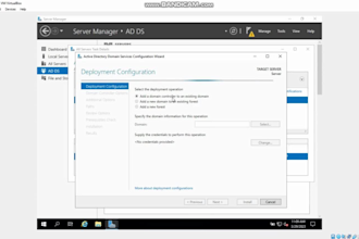 audit your system, penetration testing, vulnerability scans and malware removal