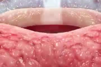 create high quality 3d medical animation and explainer videos