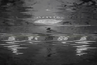 create hyper realistic ai video art for music, ads, or reels