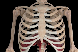 create 3d anatomy animation, medical animation, biomedical animation video