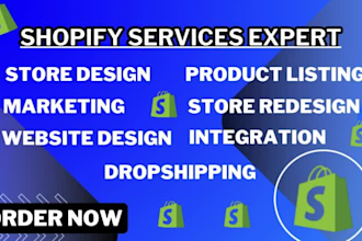 shopify store shopify website design payment gateway bugs and errors fixing