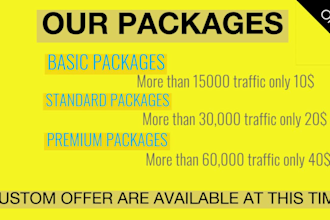 send keyword targeted organic USA web traffic with google trackable