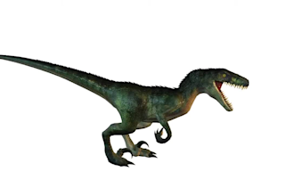 apply stylished character, 3d animal rigging, fur, animal animation into footage