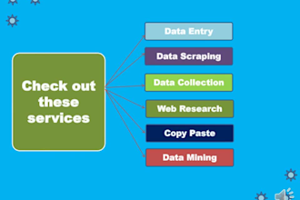 do fast and accurate data entry in excel or google sheets