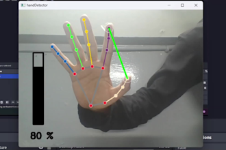 do data preprocessing and visualization, ai model, transformers, gan, CNN, lstm