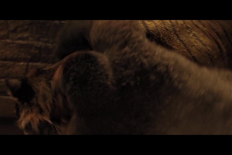 do vfx compositing, vfx video effects, visual effect and vfx clean up