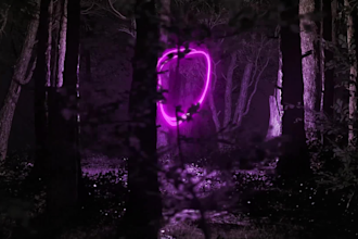 do the enchanted forest intro video
