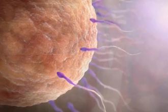 make realistic 3d medical animation, 3d anatomy animation, 3d surgery animation