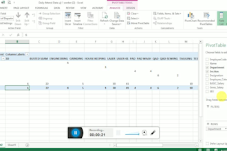 do data entry, data analysis, VA, organogram charts