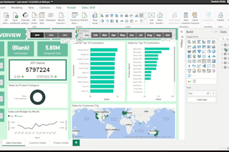 perform professional data analysis and visualization using excel, python and sql