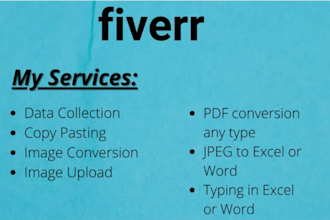 do data entry, data collection, internet research, PDF convert, copy paste