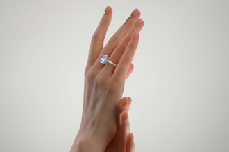 create and retouch high quality 3d jewelry designs for rendering and 3d printing