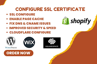 solve shopify SSL not secure or https problems for your store