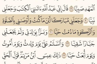 teach arabic language effectively with fun tajweed class kids online quran tutor