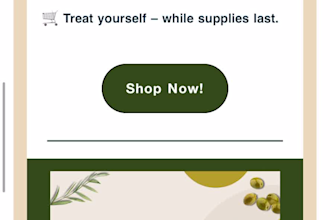 design a professional mailchimp newsletter for your brand