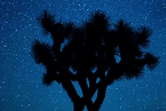 create relaxing meditation videos with soothing music affirmations