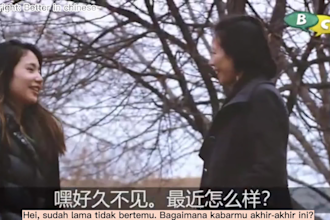 translate subtitles to indonesian accurately