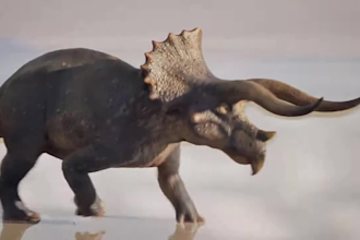 do cgi animal animation, 3d animal model, vfx animation and model for your film