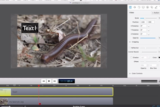 edit your screenflow project