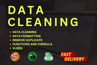 professional excel data cleaning and formula expertise