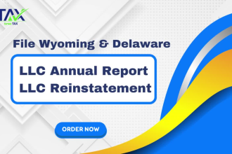 file your llc annual report and reinstatement in wyoming and delaware