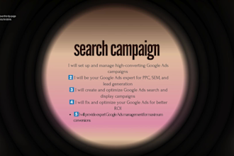 setup and manage google ads, adwords campaign as your ads manager
