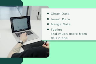 be your virtual assistant for data formatting work