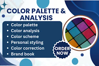 create color palette analysis scheme correction personal styling for your brand