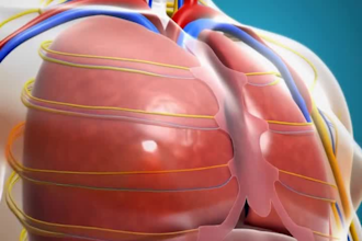 do 3d medical animation animated explainer video 3d dental animation