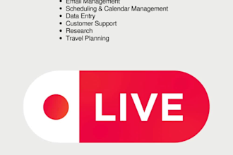 be your virtual assistant for your administrative needs