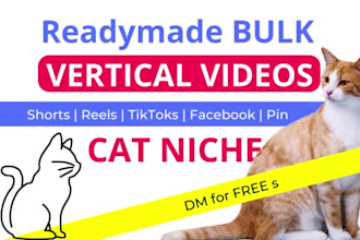 bulk cat animal dog niche youtube shorts tik tok videos instagram reels