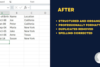 clean and format excel data for financial reports