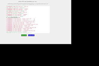perform a security audit of your website or web app