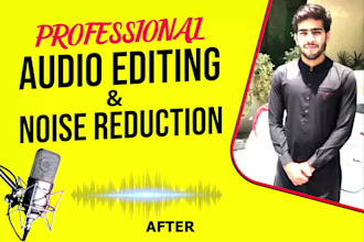do professional audio editing and noise reduction