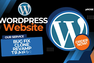 fix wordpress bugs, speed issues, mobile layout, responsive design seo problem