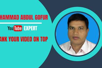 do youtube SEO optimization I will promote your video at top