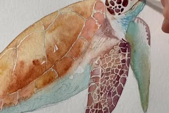 paint realistic watercolor sea animals illustration