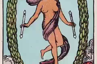 guide you with empowered tarot and harmony