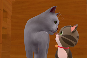 create 3d animation with your character