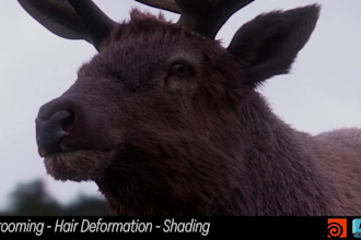 render realistic 3d animal model character rigging vfx animation gen hair fur