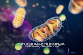 create a science and medical animation with visual effects