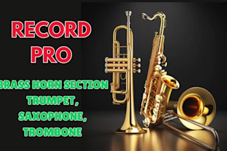 record pro brass horn section trumpet, saxophone, trombone
