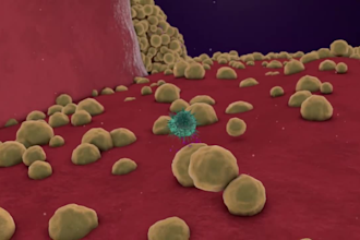 be your biology and microbiology tutor