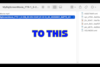 create a professionally made dcp for theatrical distribution
