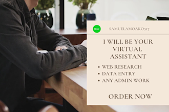 be your virtual assistant for web research, data entry