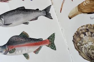 draw watercolor illustration on any topic